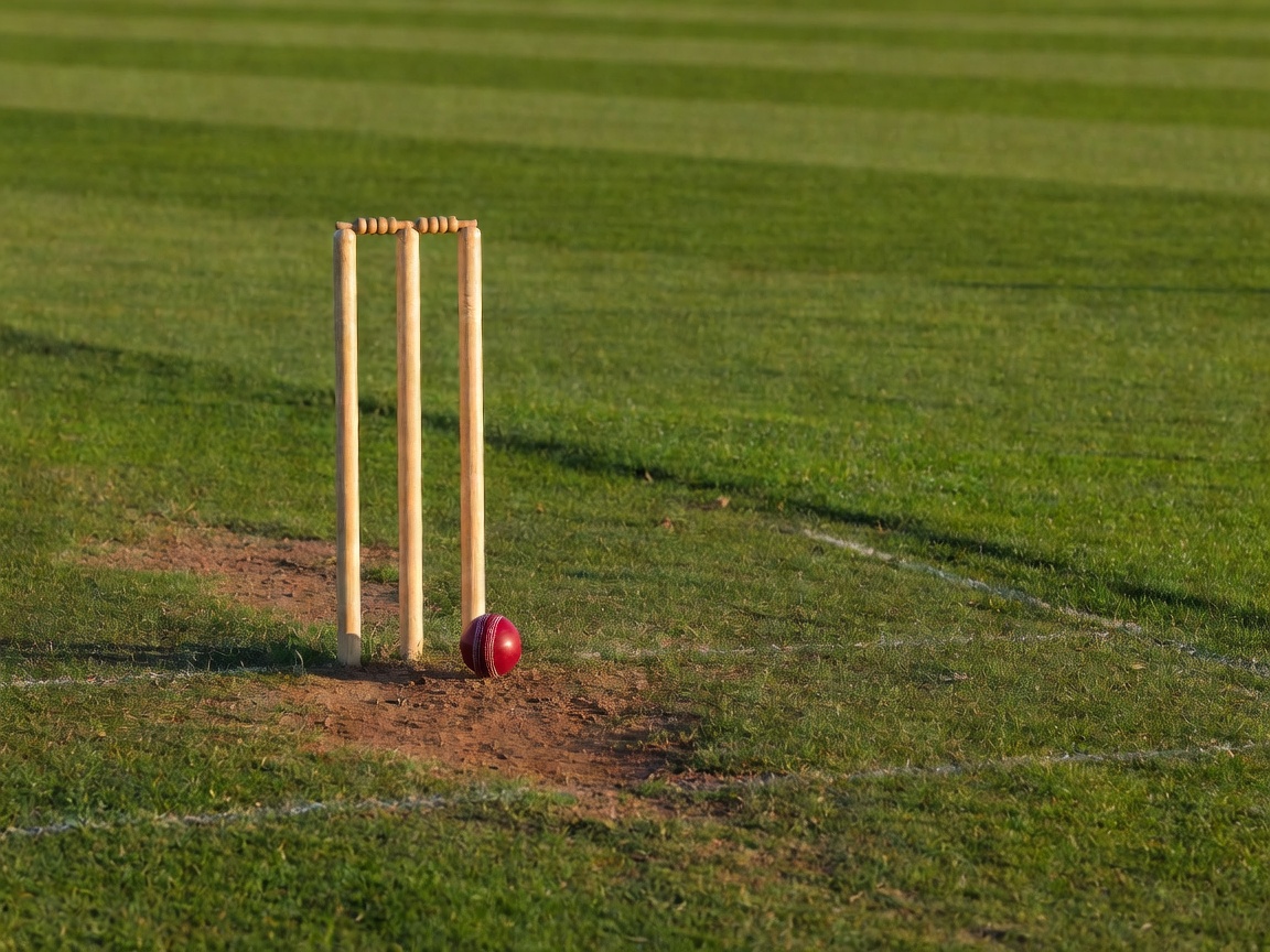 Cricket wicket and red leather ball on grass field